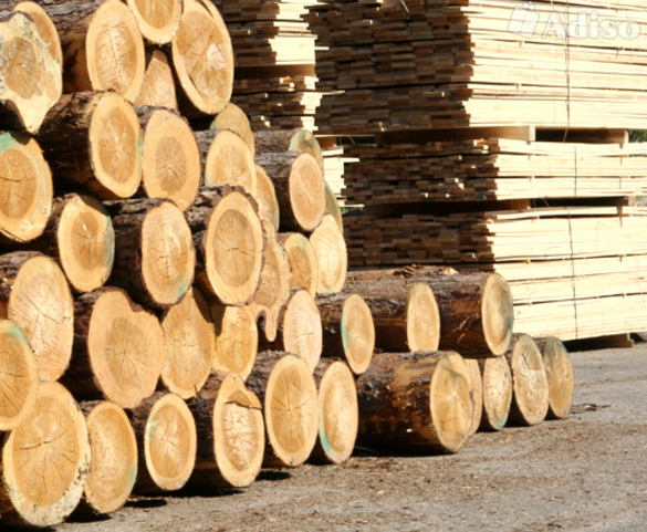 Правила заготовки древесины